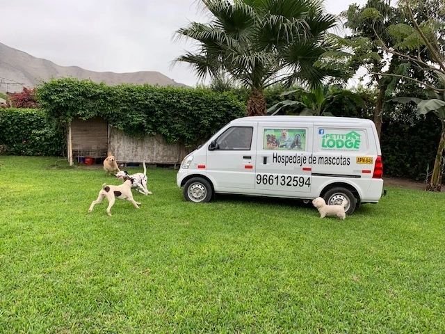 La camioneta de Petit Lodge estacionada en el jardín, con perros alrededor y los cerros al fondo