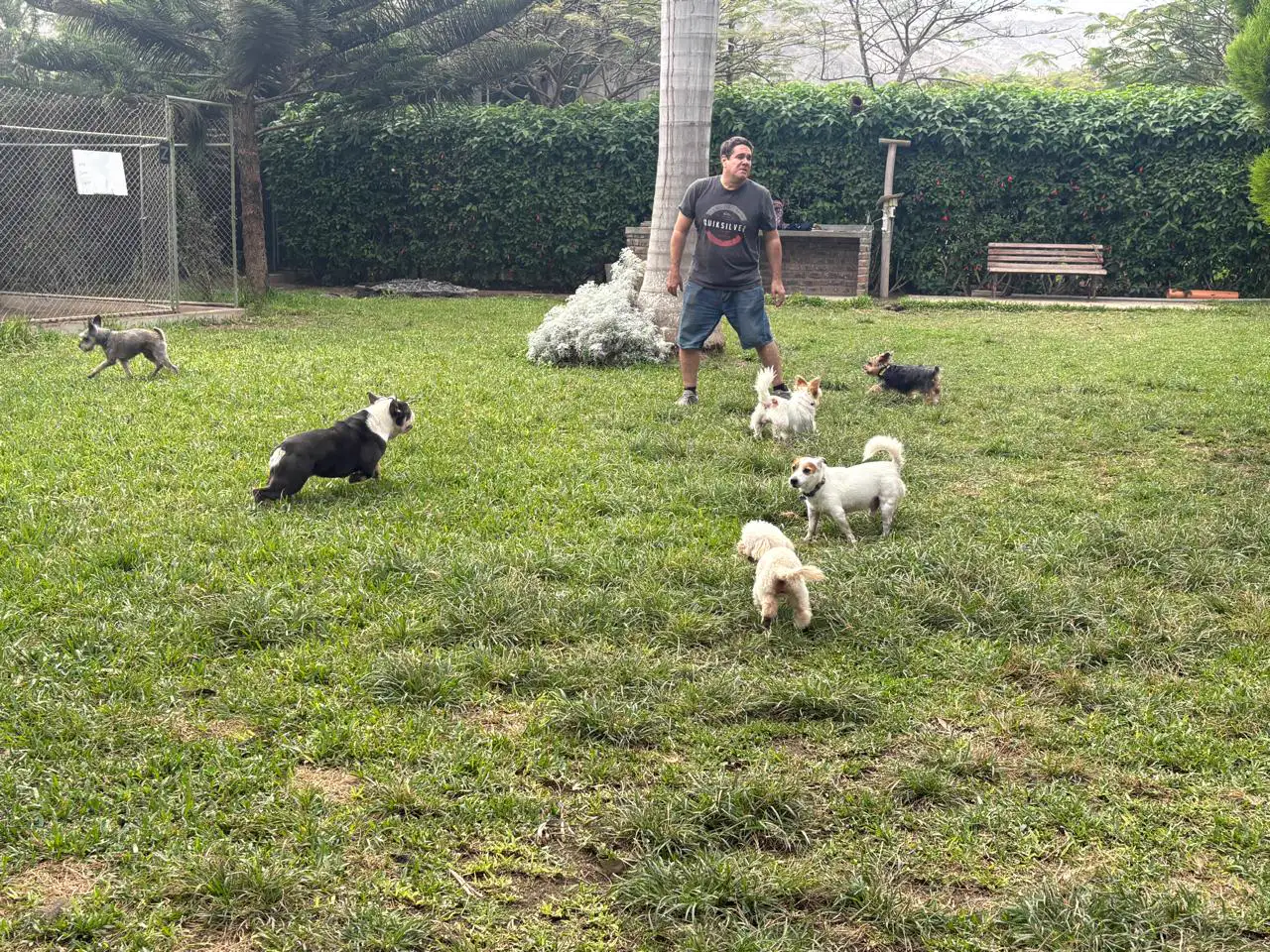 Cuidador de Petit Lodge junto a siete perros de distintos tamaños sobre el césped